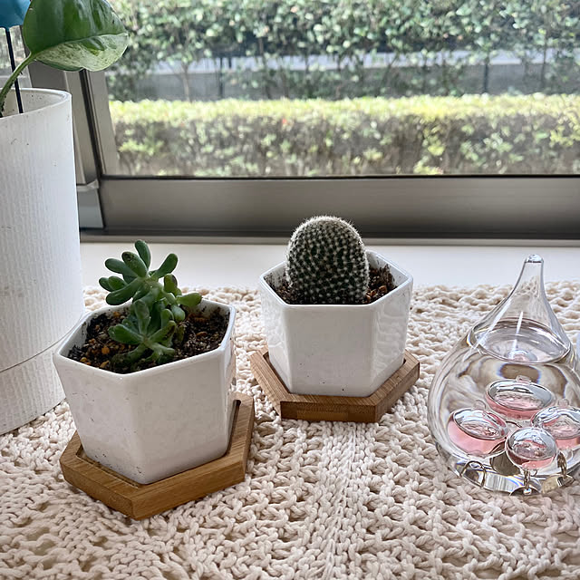 YuuKoさんの部屋