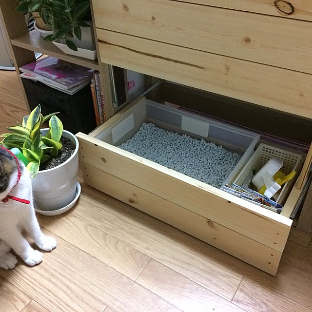 kazeさんの実例写真
