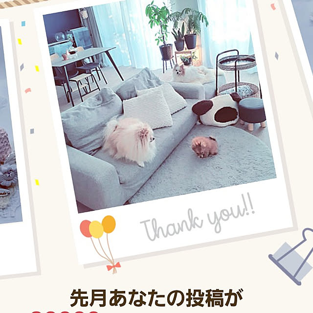 noahさんの実例写真