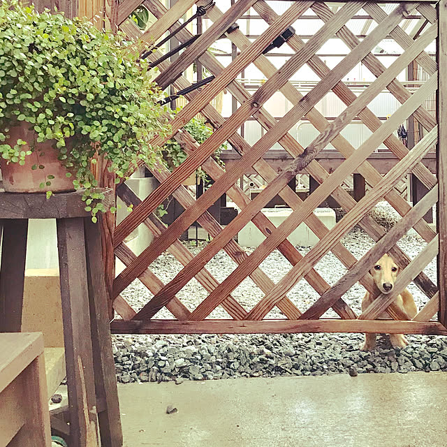 yukariさんの実例写真