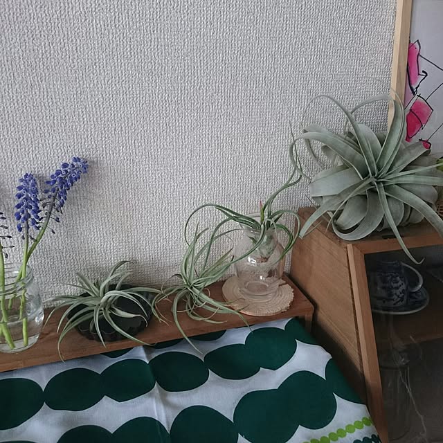 yu-yuさんの実例写真