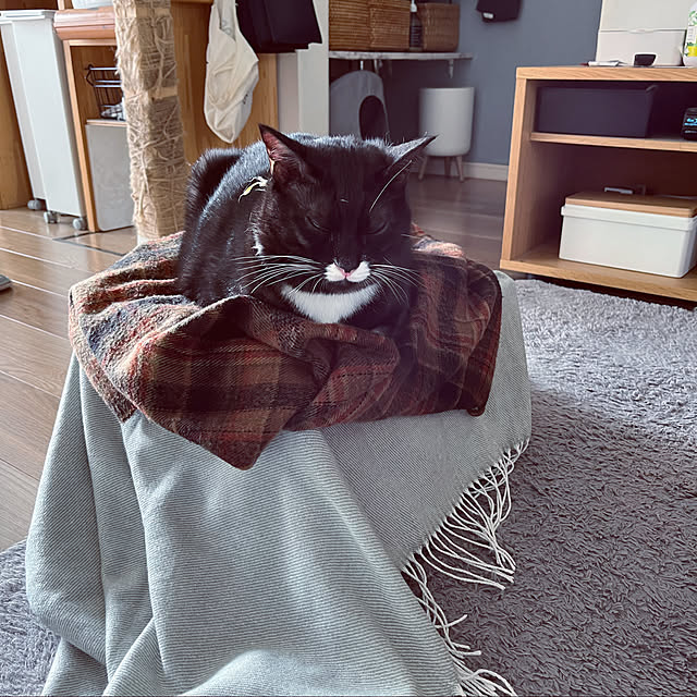 masamasaさんの実例写真