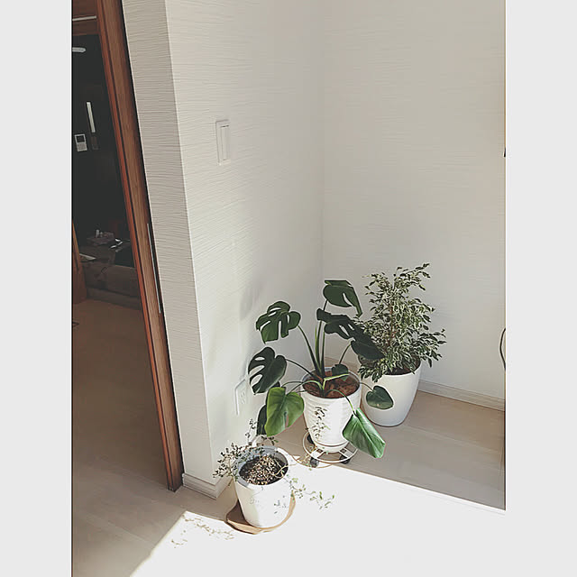 sayさんの実例写真