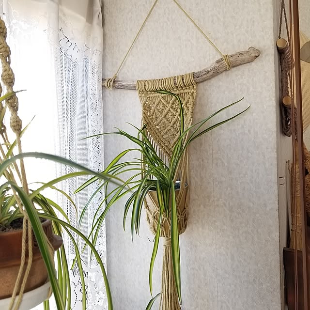 midoriさんの部屋