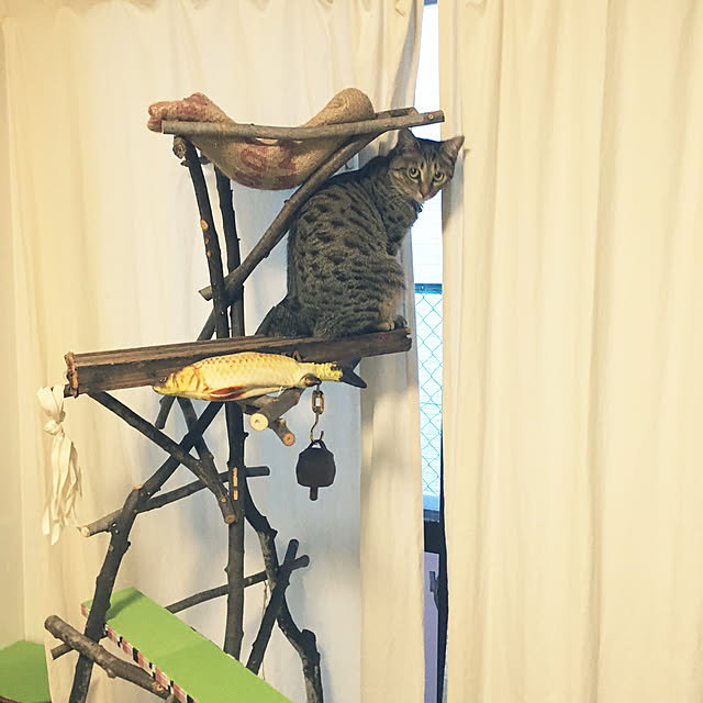 Mさんの実例写真