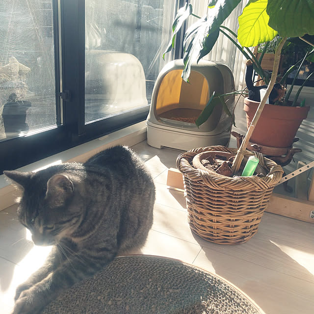 miumiuさんの部屋