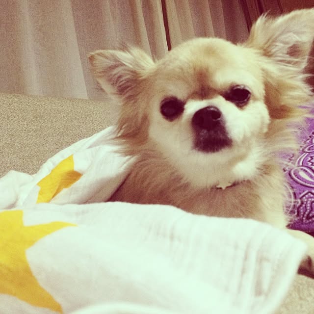 ayalike29さんの実例写真