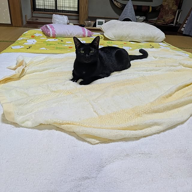 asaさんの部屋