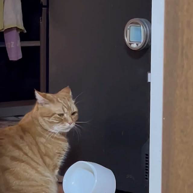nekoさんの部屋