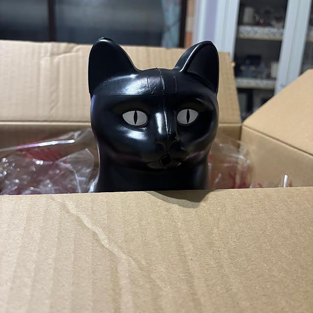momocchiさんの実例写真