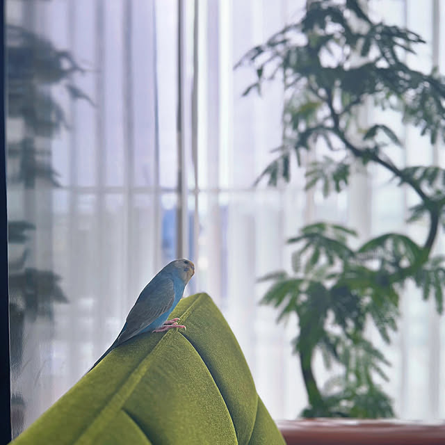 ttさんの部屋