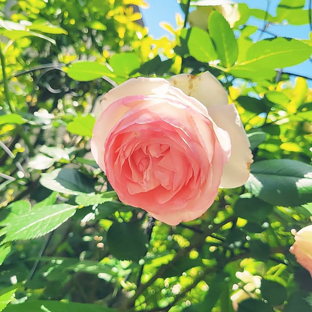 mimi828さんの部屋