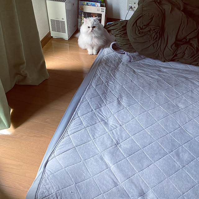 mimosaさんの実例写真