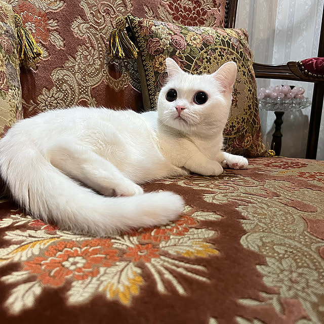 AYUKOさんの部屋