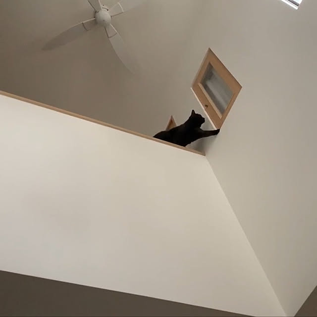 Chocolatさんの実例写真