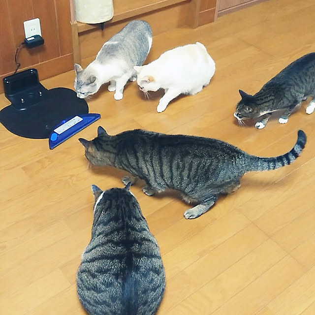nachiさんの実例写真