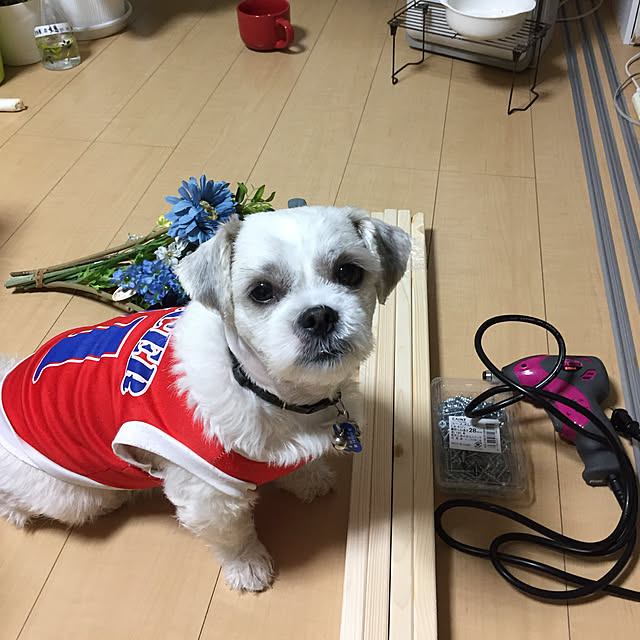 emiさんの実例写真