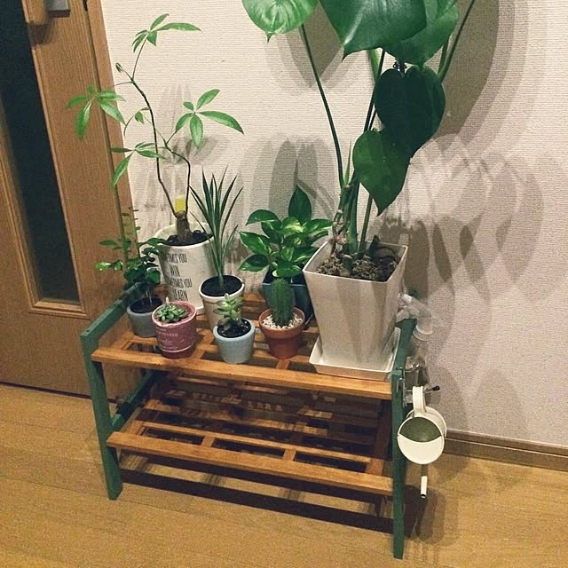 watさんの実例写真