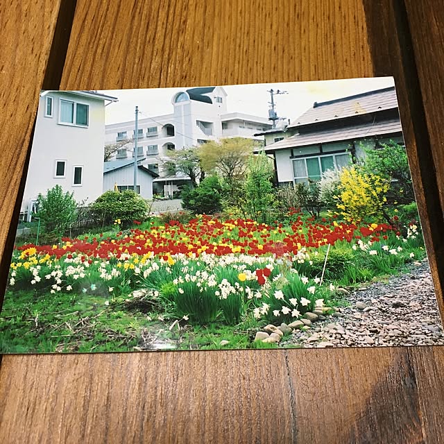 tetra163さんの実例写真