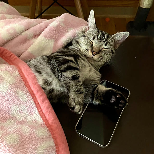 yumiさんの実例写真