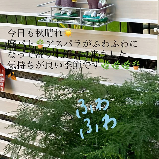 YuuKoさんの実例写真