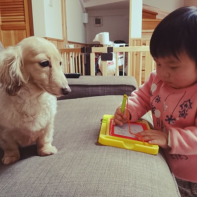 Mayukoさんの実例写真