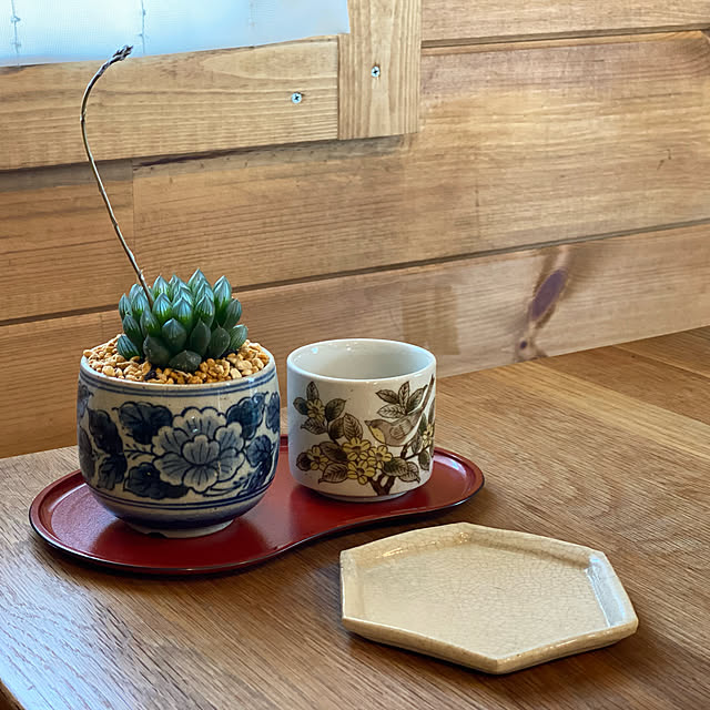 瀬戸焼き/食器/多肉植物/三角屋根の家/暮らしの一コマ...などのインテリア実例 - 2022-05-15 15:48:04