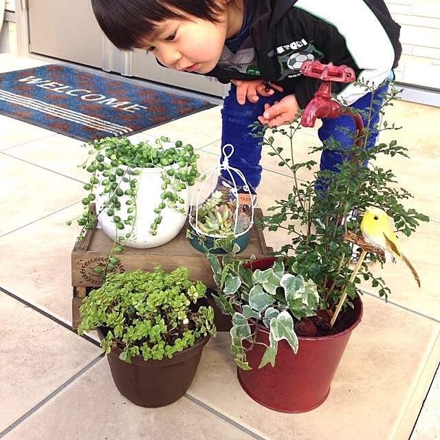 legoさんの実例写真