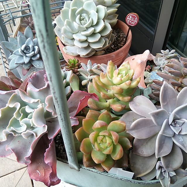 VERANDARJUNさんの実例写真