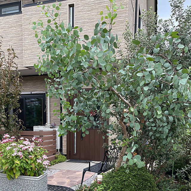 ronronさんの部屋