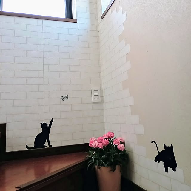 tarosanさんの実例写真