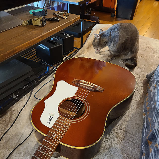 fuchan0930さんの実例写真