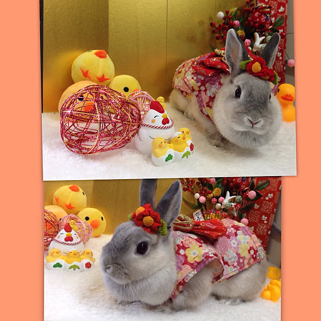 yokomokoさんの実例写真