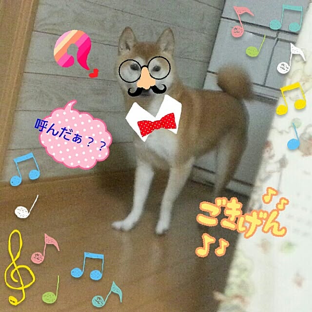 実例写真