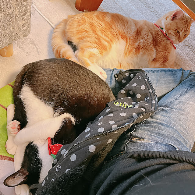 moolさんの部屋