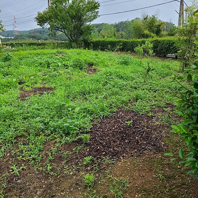 Rubiconさんの部屋