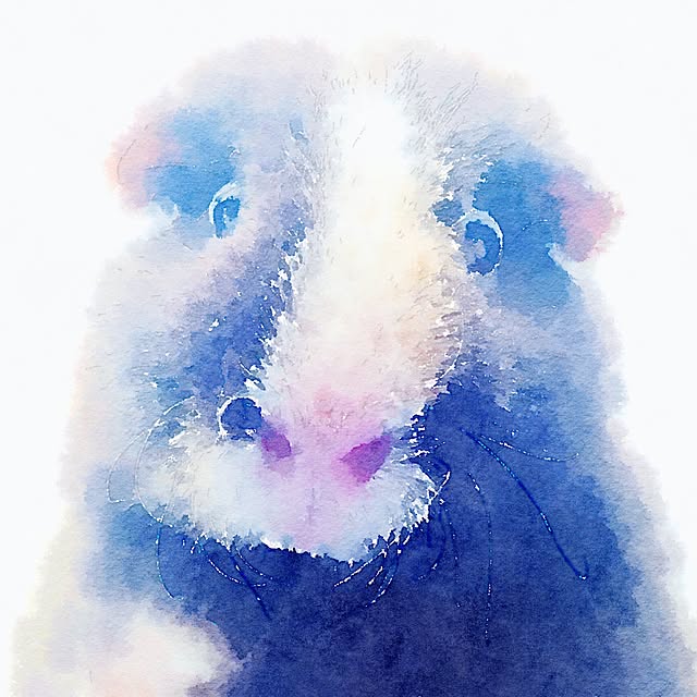 molmiyaさんの実例写真