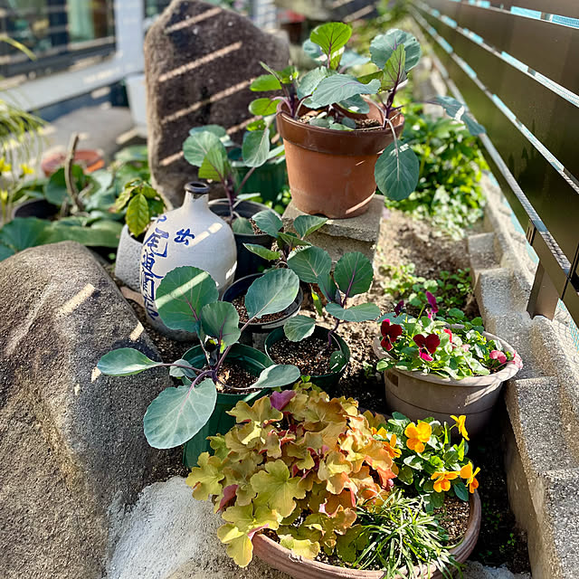 buchiさんの実例写真