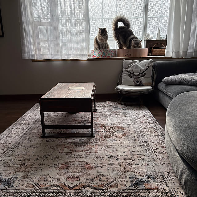 mayumiさんの部屋