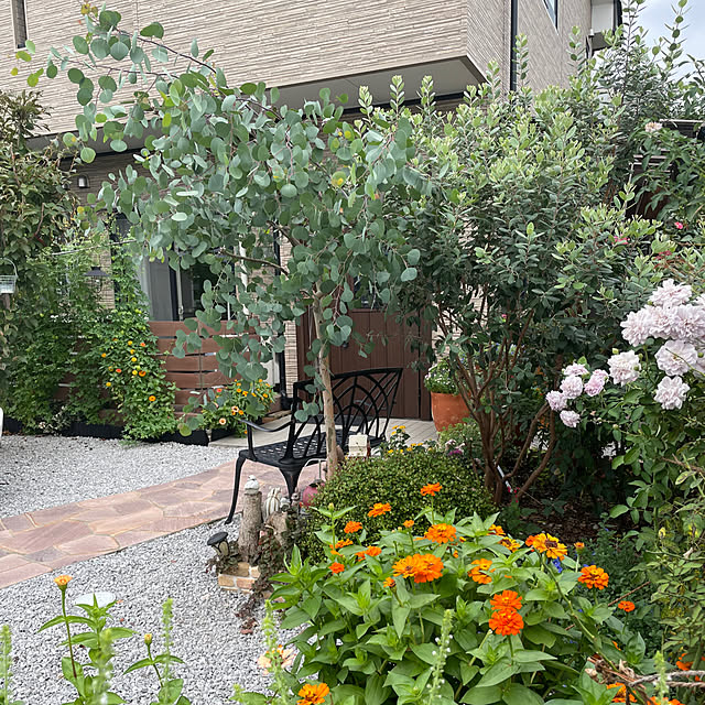 ronronさんの部屋