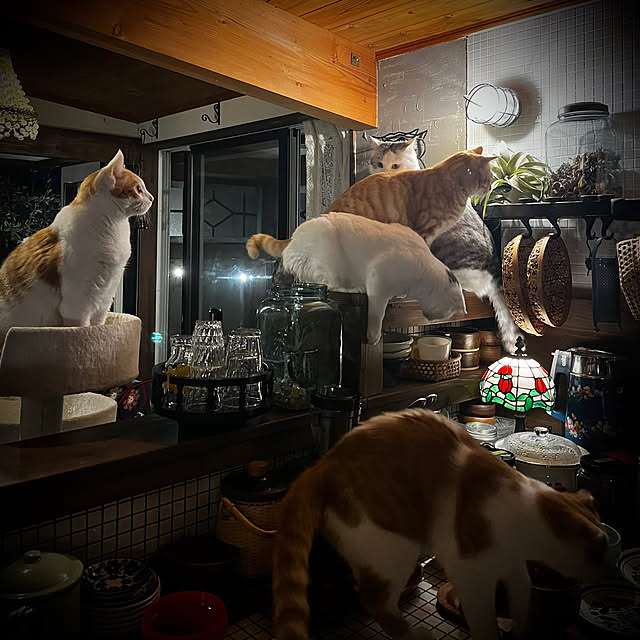 marusanさんの実例写真