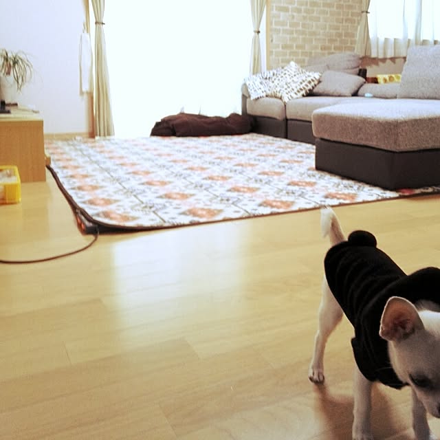 emamaさんの実例写真