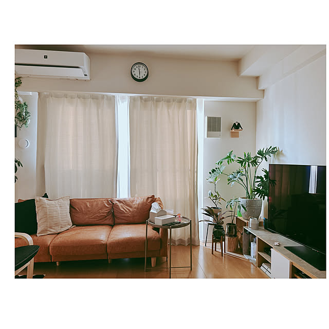 RITSUさんの実例写真