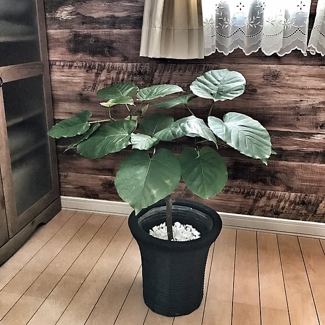 部屋全体/ウンベラータ/枯らさないよう頑張る/観葉植物/フェイクグリーン...などのインテリア実例 - 2016-12-20 15:09:41