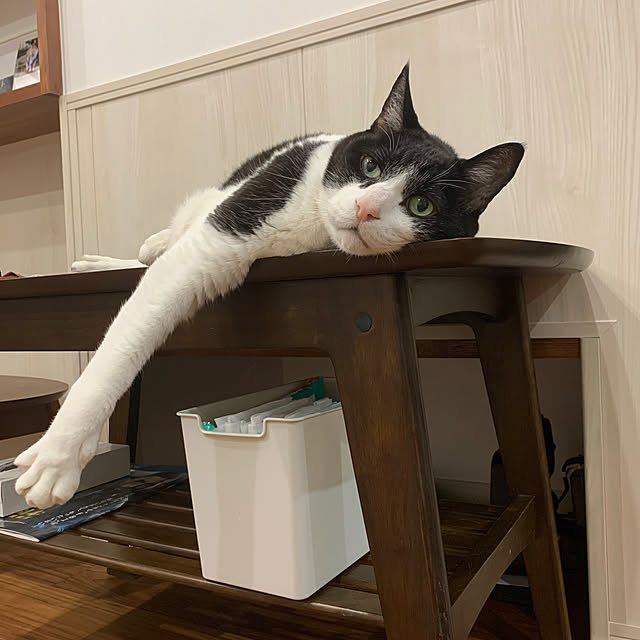 mikeume7さんの実例写真