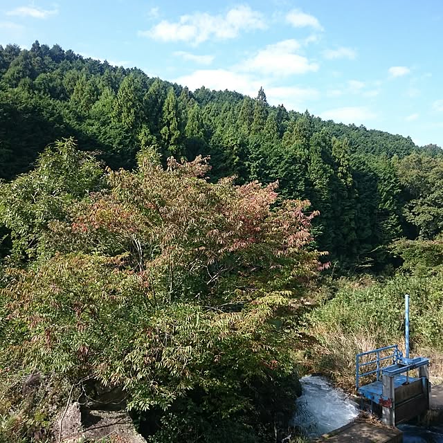 実例写真