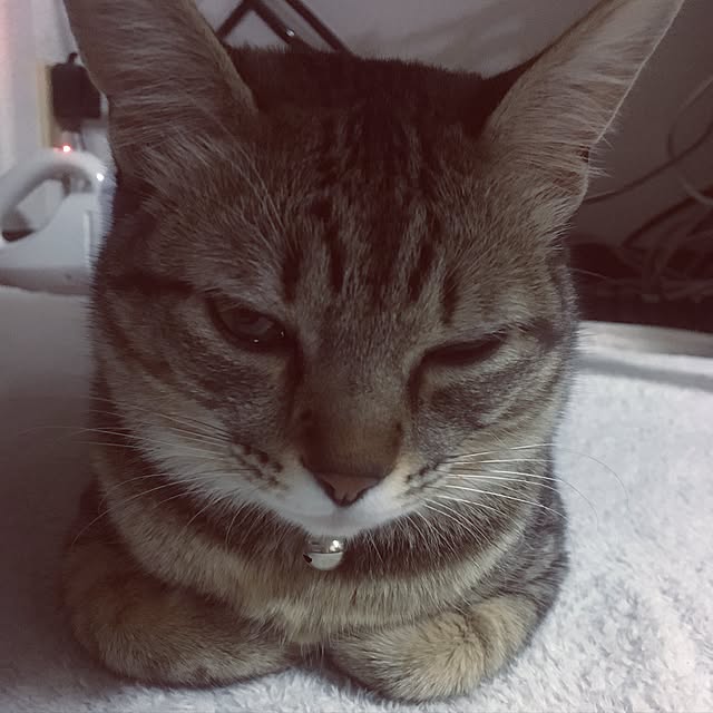 sayasさんの実例写真