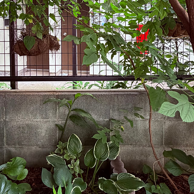 chacoさんの部屋