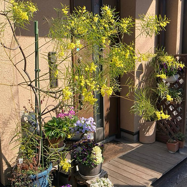 amiromikaさんの実例写真