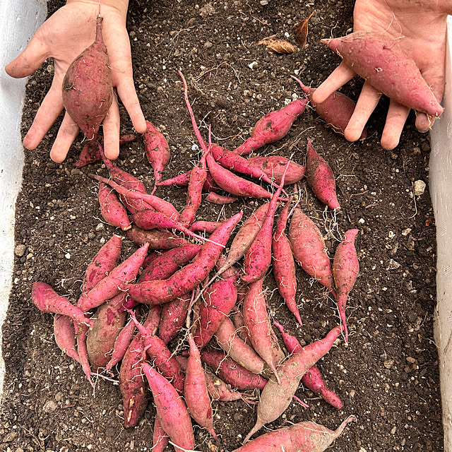 KaiKaiさんの部屋